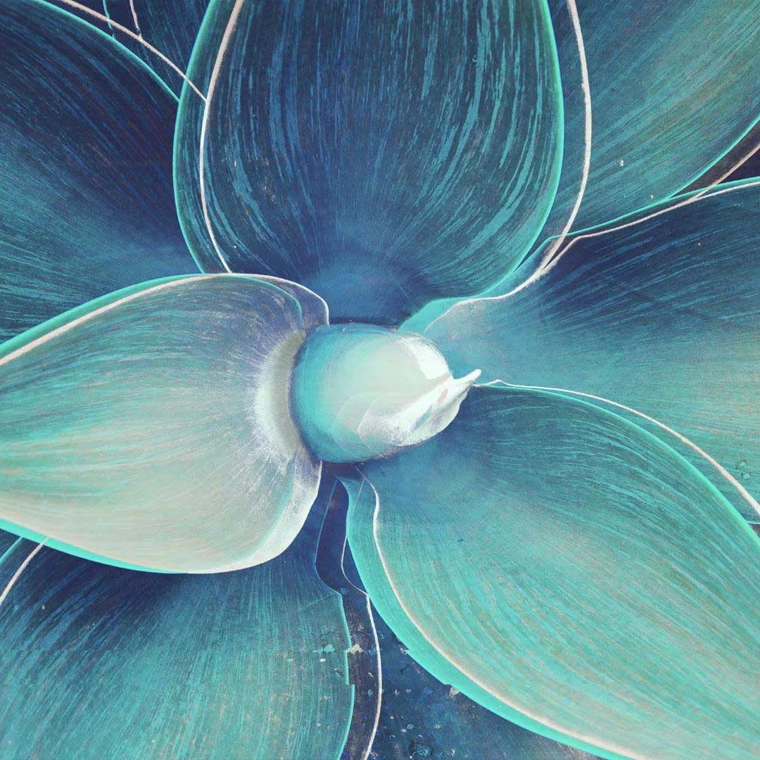 blog-artikel-blume